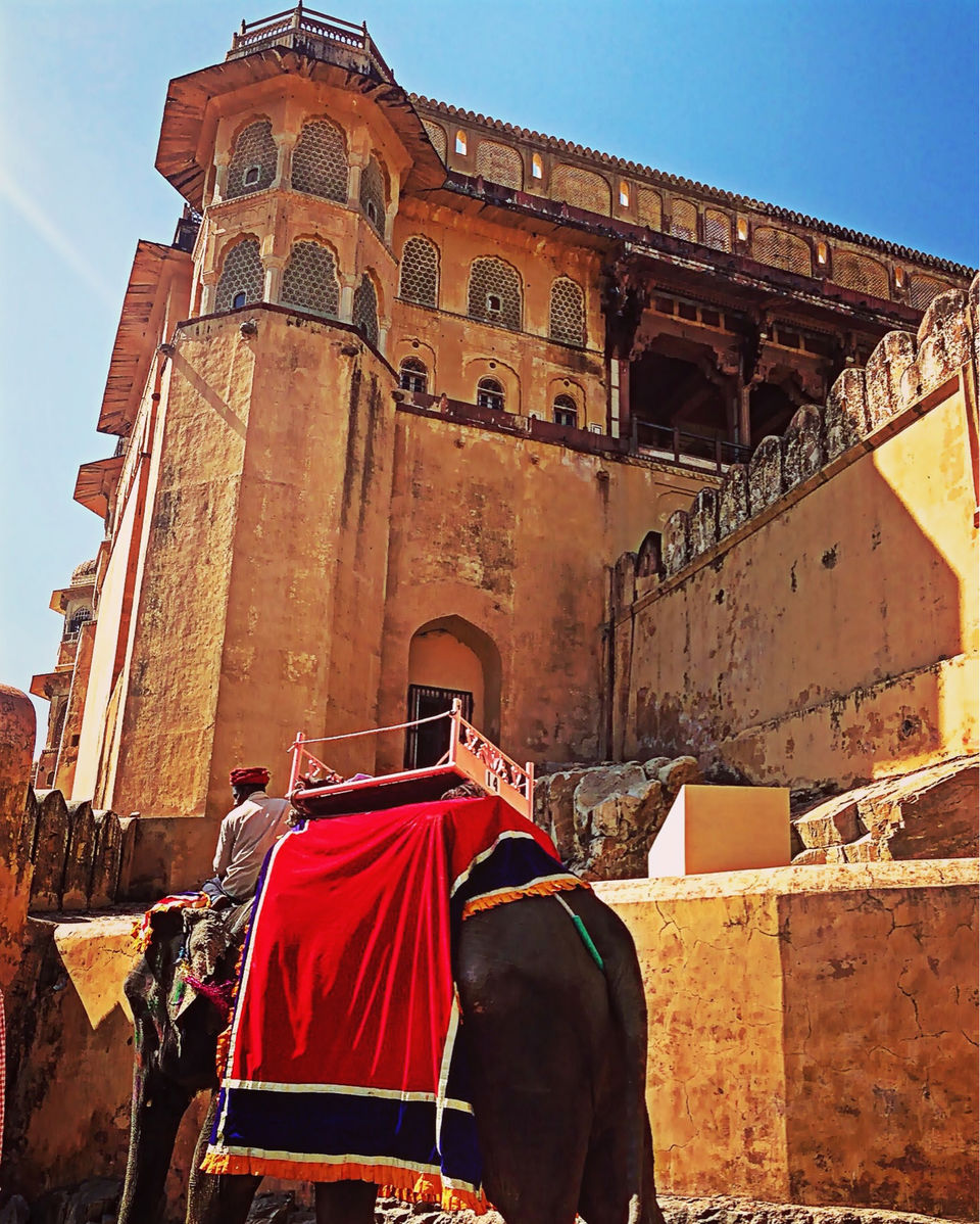Photo of Jaipur (Pink City-sheher Gulabi) by Armaan Singhai