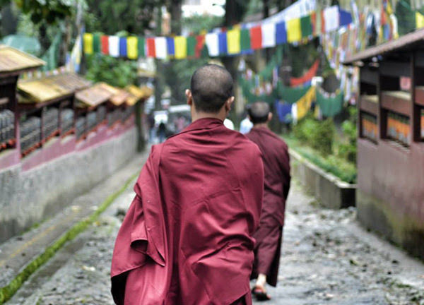 Photo of Sikkim Darjeeling Group Trip- 18th March to 24th march 5/10 by Your Holiday Agent