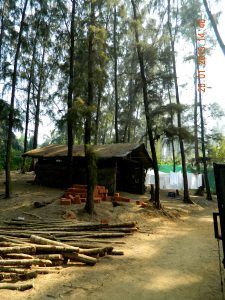 Photo of 15 Weekend Gateways near Pune 12/15 by ramesh