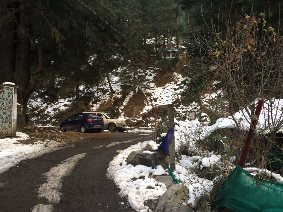 Photo of Walking in the winter wonderland, I love you Snow much!! 3/29 by Ashwini
