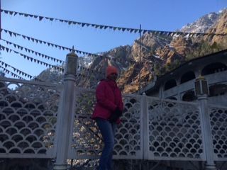 Photo of Walking in the winter wonderland, I love you Snow much!! 12/29 by Ashwini