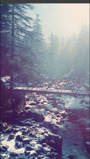 Photo of Walking in the winter wonderland, I love you Snow much!! 21/29 by Ashwini