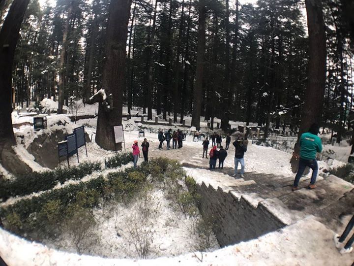 Photo of Walking in the winter wonderland, I love you Snow much!! 25/29 by Ashwini