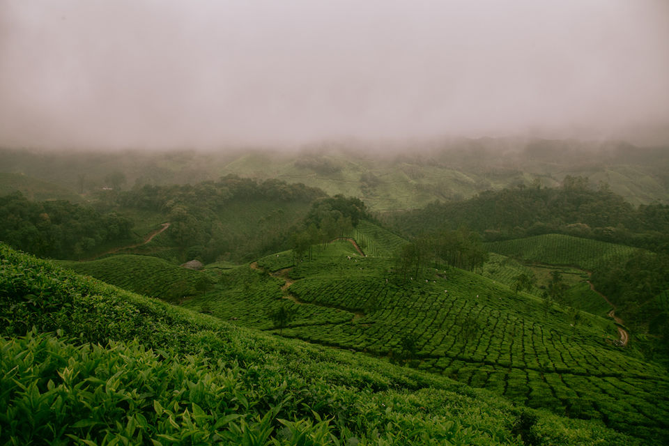 Photo of 9 Reasons Why Sri Lanka Will Make You Feel Awesome! 6/7 by Shubra Acharya