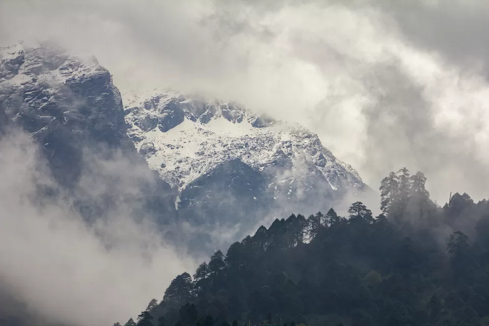 Photo of Yumthang, Sikkim, India by Shubra Acharya