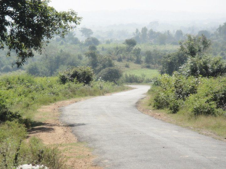 Photo of Hogenakal Waterfalls, Hoganakkal, Tamil Nadu, India by Shubra Acharya