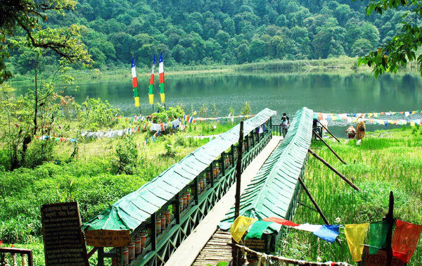 Photo of Sikkim Darjeeling Group Trip- 18th March to 24th march 5/11 by Krati Agarwal