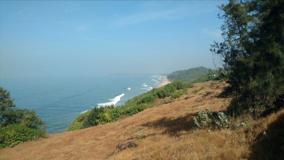 Photo of The Virgin Beaches:Konkan by Anomitra Dey