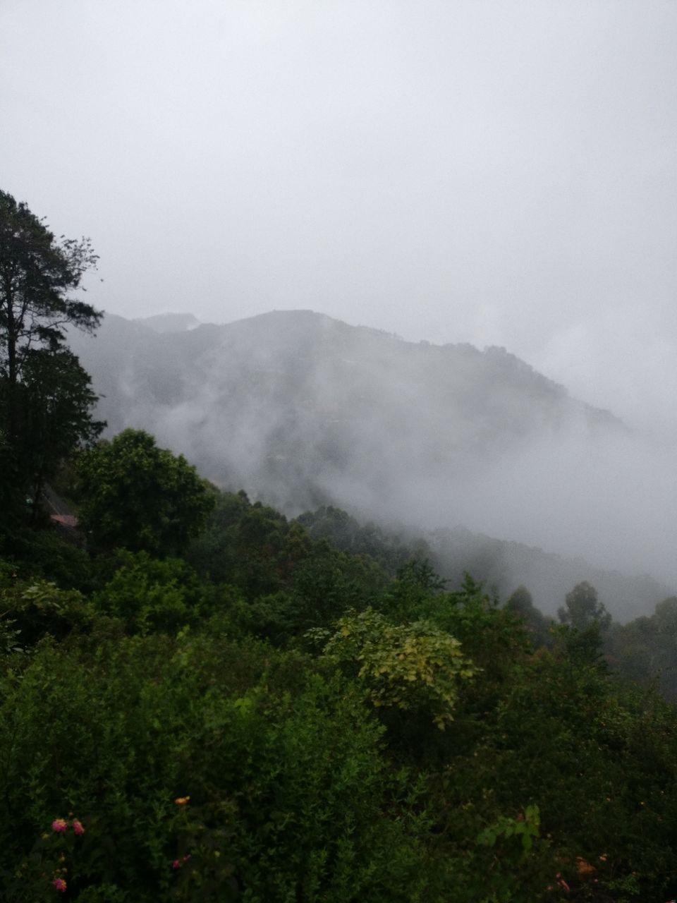 Photo of Kodaikanal hill station, Kodaikanal, Tamil Nadu, India by Sadhana Pandey