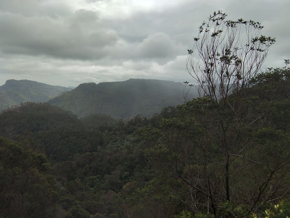 Photo of Kodaikanal hill station, Kodaikanal, Tamil Nadu, India by Sadhana Pandey