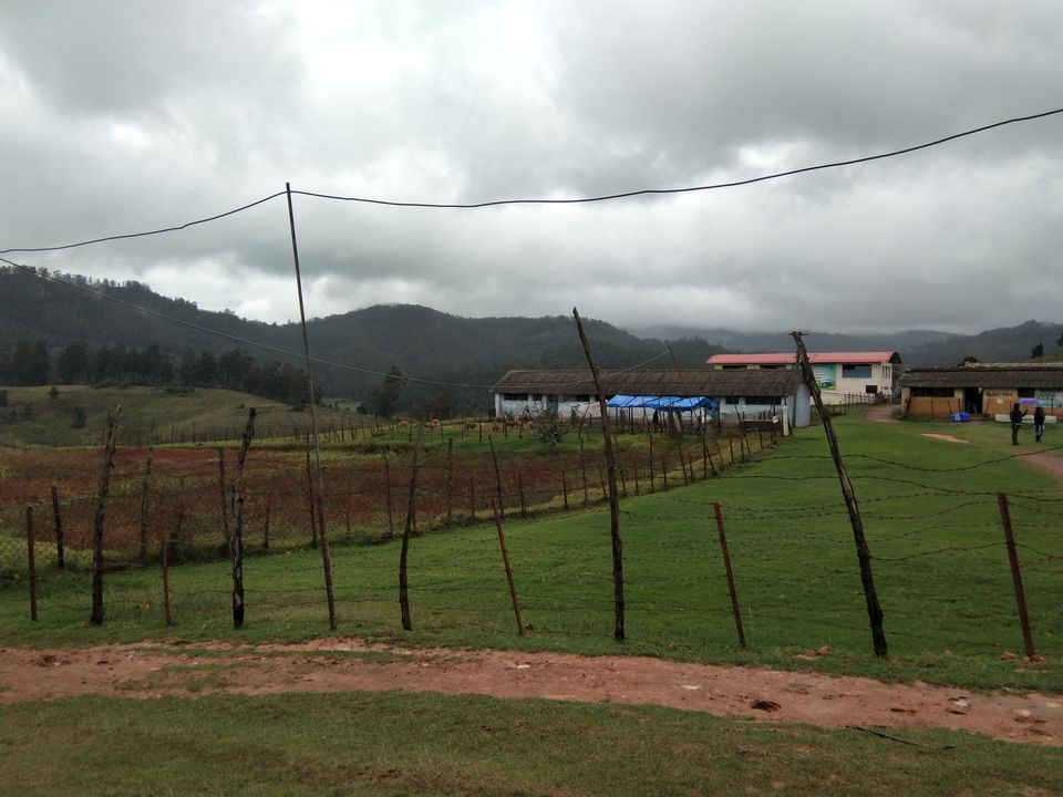 Photo of Kodaikanal hill station, Kodaikanal, Tamil Nadu, India by Sadhana Pandey