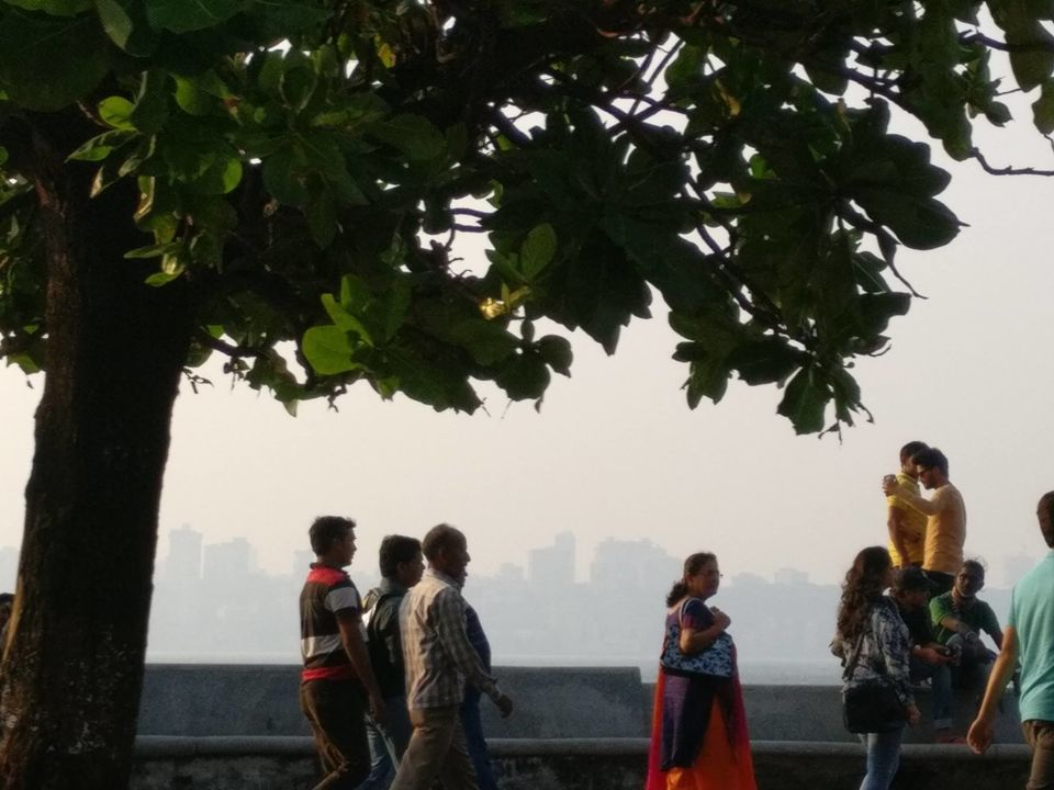 Photo of WADA PAWCHI CITY(asked-from-a-Marathi-friend-title) 7/12 by Sadhana Pandey