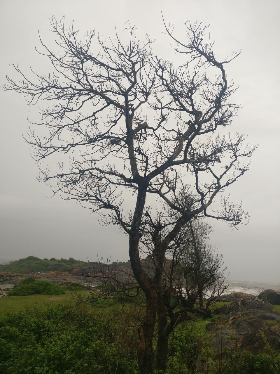 Photo of BEACHES AND RAIN? THINK AGAIN. 14/31 by Sadhana Pandey
