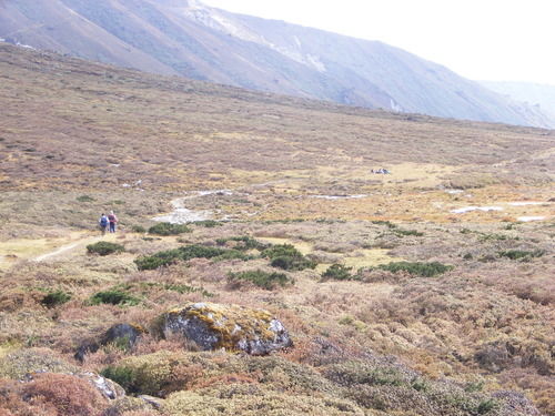 Photo of Lamuney Camp Site, West Sikkim, Sikkim, India by SHIMOJ