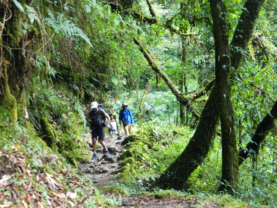 Photo of Tshoka, Sikkim, India by SHIMOJ