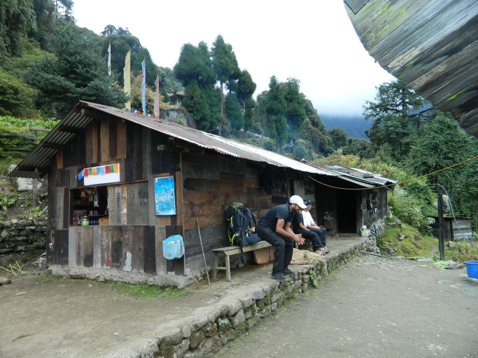 Photo of Bakhim, West Sikkim, Sikkim, India by SHIMOJ