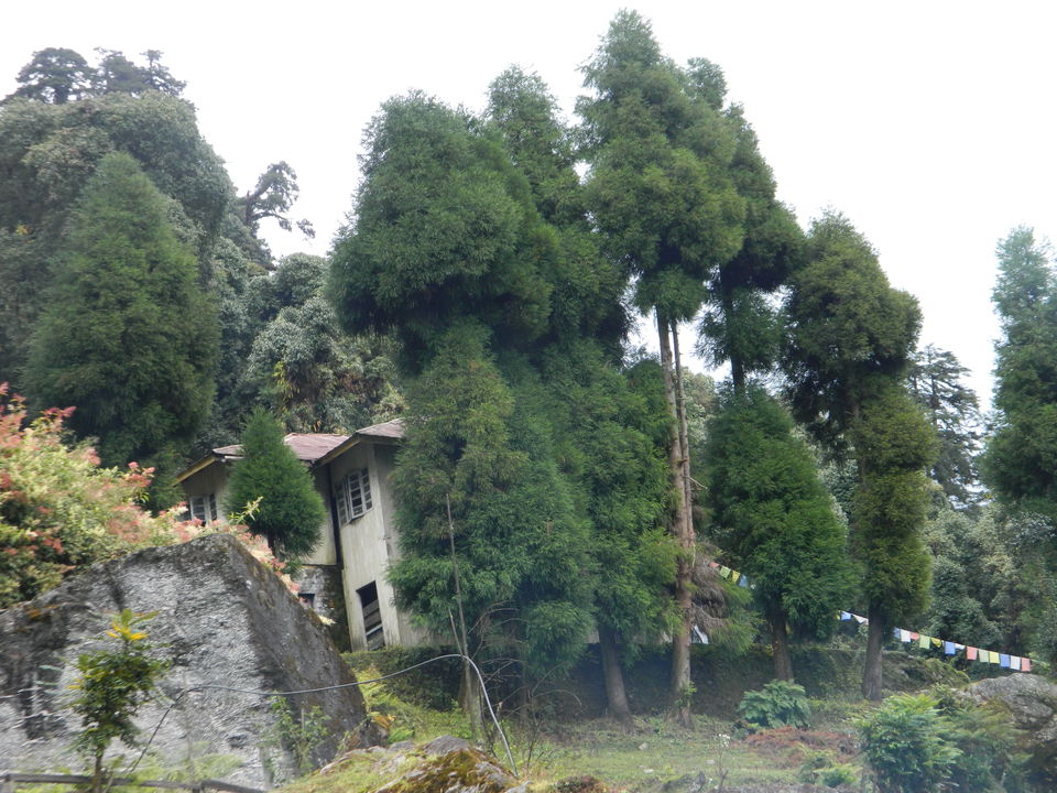 Photo of Bakhim, West Sikkim, Sikkim, India by SHIMOJ