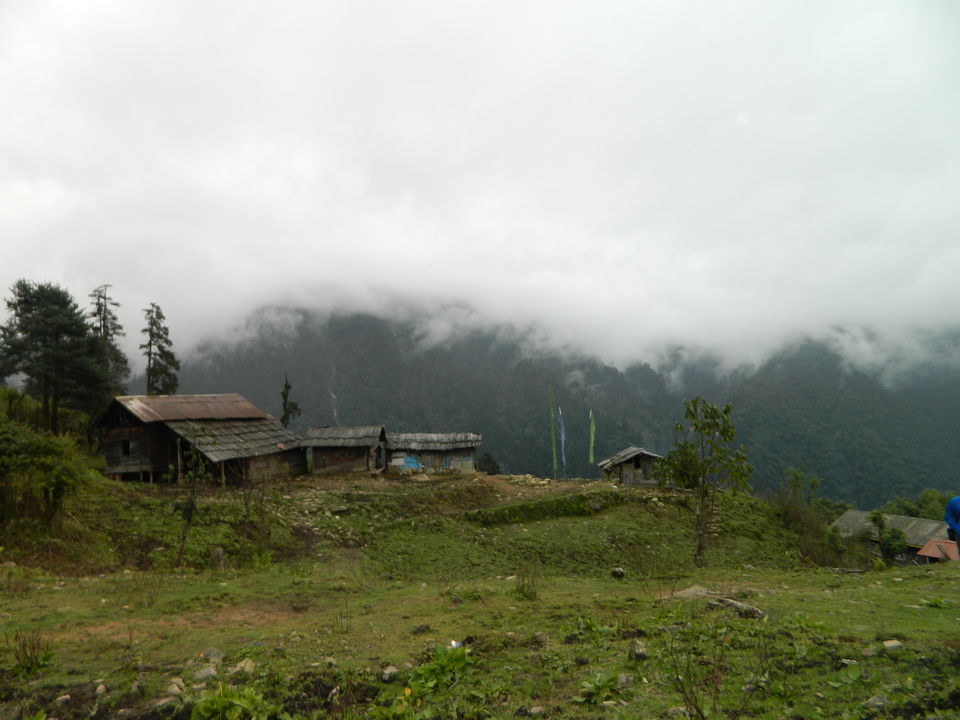 Photo of Tshoka, Sikkim, India by SHIMOJ