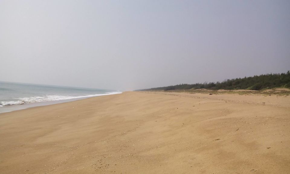 Photo of Puri, Chilka & Konark (INDIA) 22/22 by SHIMOJ