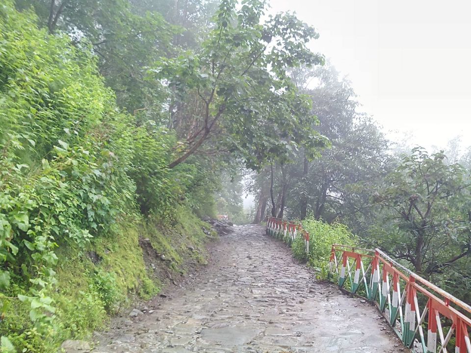 Photo of Valley of Flowers : World's Garden & Hemkund (Uttarakand, INDIA) 22/40 by SHIMOJ
