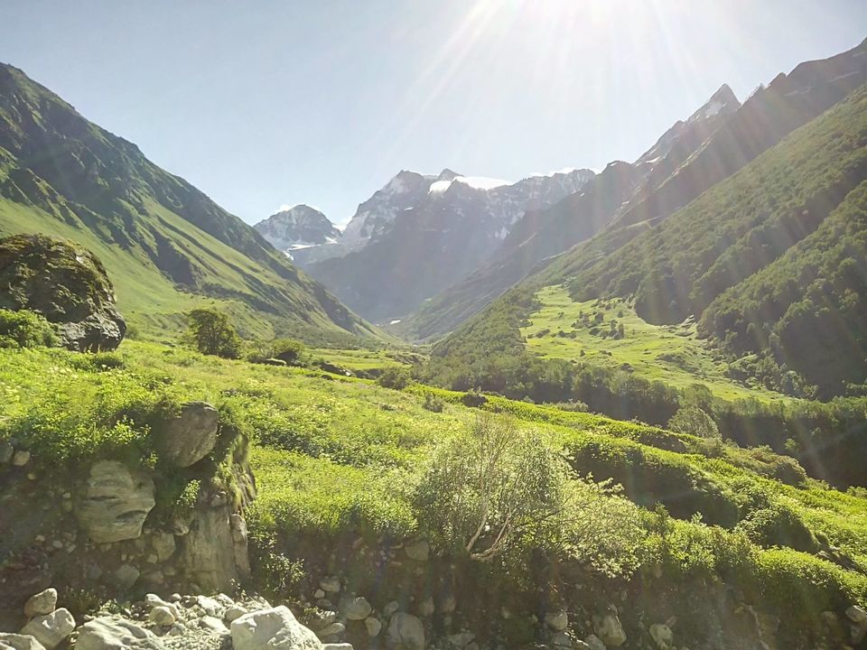 Photo of Valley of Flowers : World's Garden & Hemkund (Uttarakand, INDIA) 12/40 by SHIMOJ