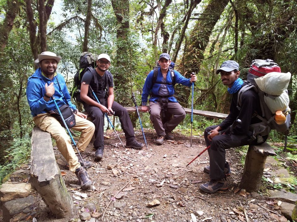 Photo of Goecha La -10days inside Kanchenjunga NP (INDIA) 2/45 by SHIMOJ