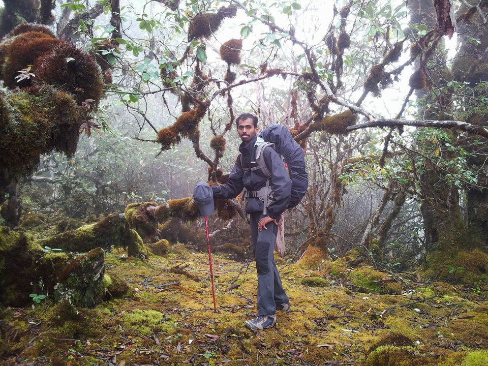 Photo of Goecha La -10days inside Kanchenjunga NP (INDIA) 3/45 by SHIMOJ