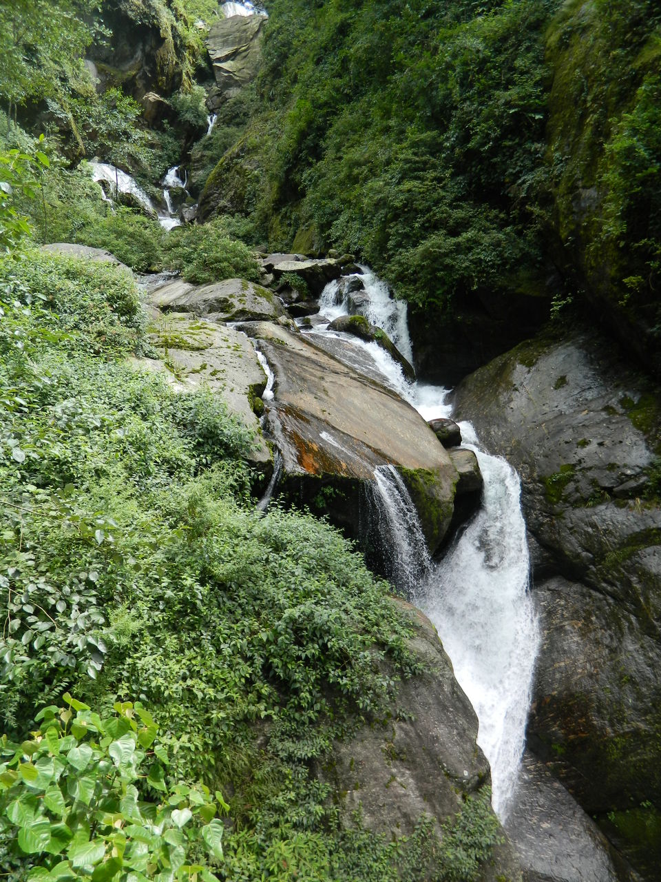Photo of Goecha La -10days inside Kanchenjunga NP (INDIA) 6/45 by SHIMOJ