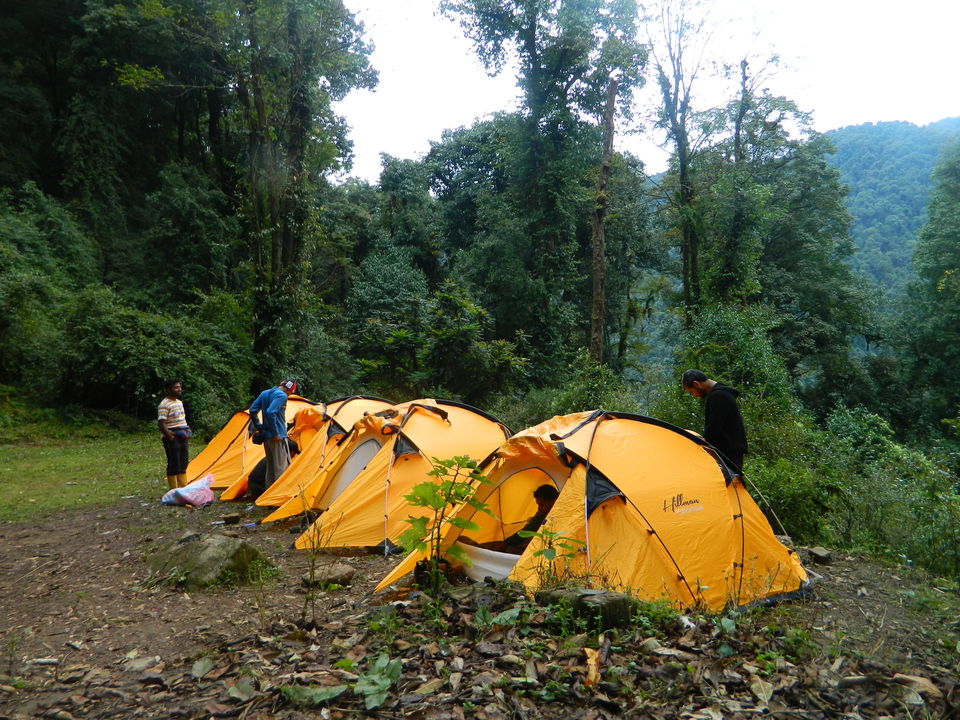 Photo of Goecha La -10days inside Kanchenjunga NP (INDIA) 9/45 by SHIMOJ