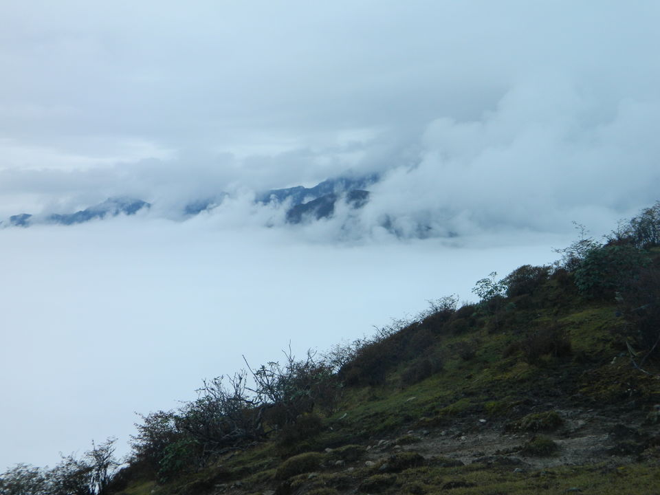 Photo of Goecha La -10days inside Kanchenjunga NP (INDIA) 19/45 by SHIMOJ