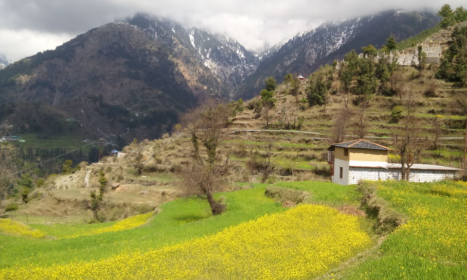 Photo of McLeod Ganj and Kangra with backpack (INDIA) 4/23 by SHIMOJ