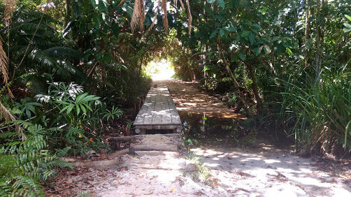 Photo of Koh Rong Sanloem, Krong Preah Sihanouk, Sihanoukville, Cambodia by Mimansa Popat