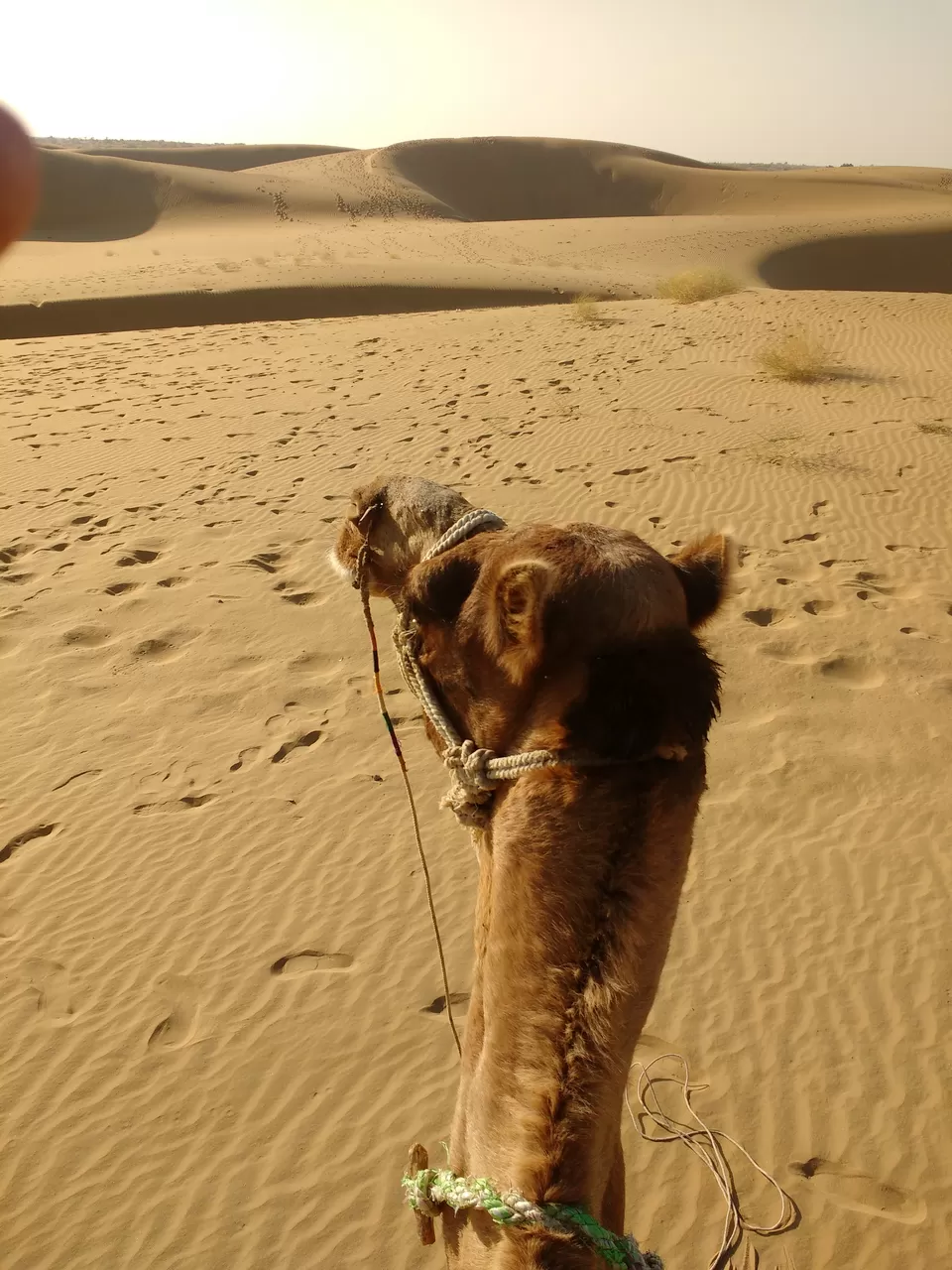 Photo of Sam Sand Dunes Desert Safari Jaisalmer, Kanoi, Rajasthan, India by Sameer Wadhwani