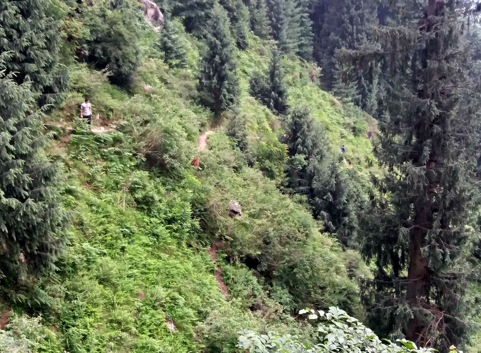 Photo of Pouring Heart out over misty Himachal by Sameer Wadhwani