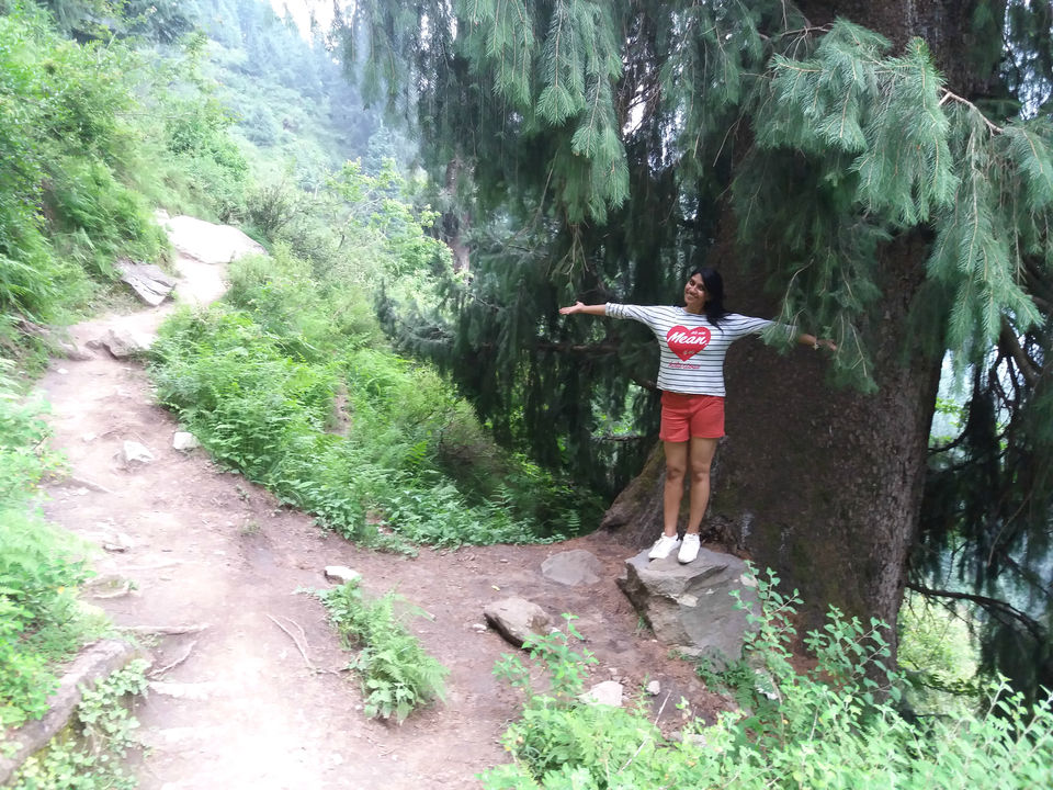 Photo of Pouring Heart out over misty Himachal by Sameer Wadhwani