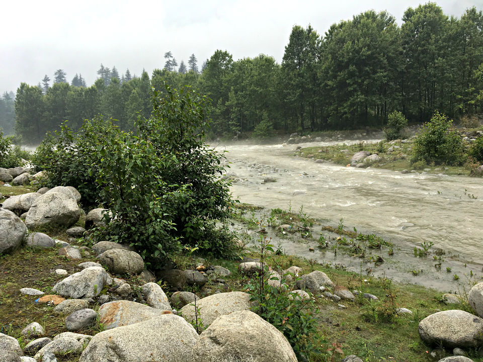 Photo of Pouring Heart out over misty Himachal by Sameer Wadhwani
