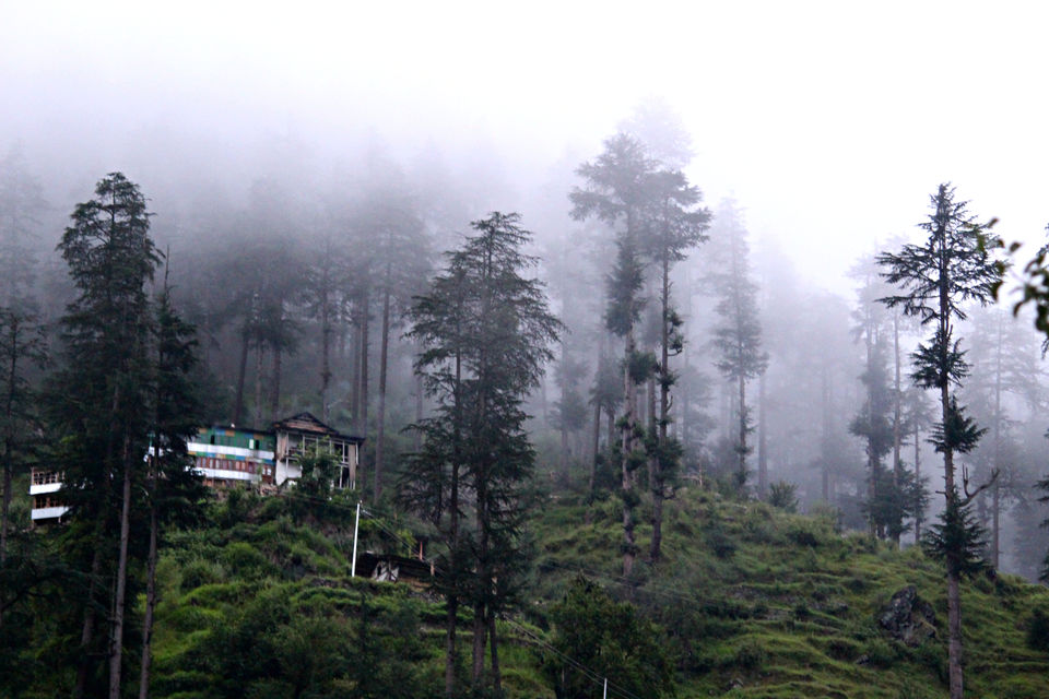 Photo of JungleBook HomeStay, Sainj - Ani - Banjar - Aut Road, Bini, Himachal Pradesh, India by Sameer Wadhwani
