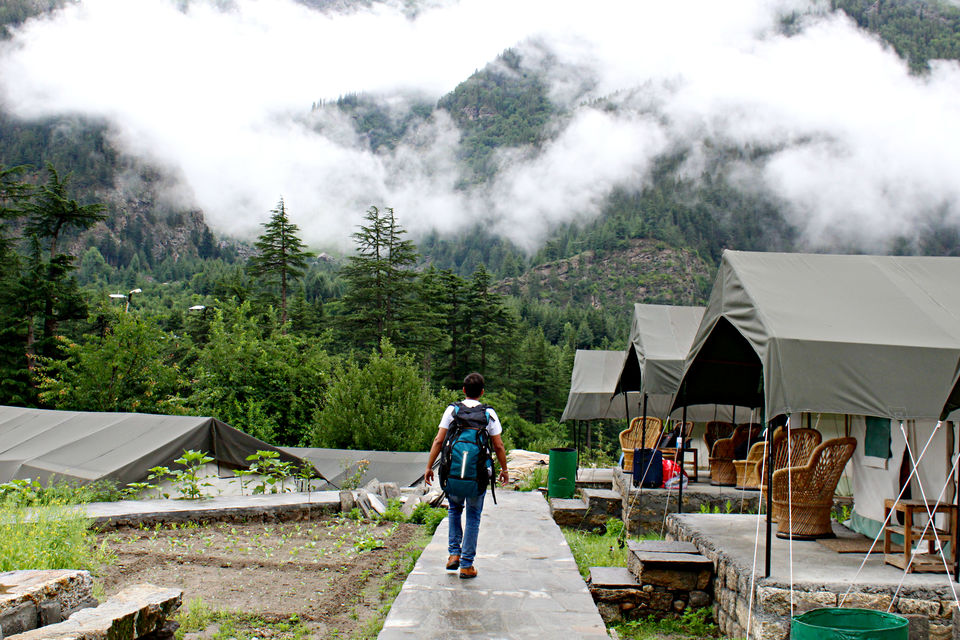 Photo of Pouring Heart out over misty Himachal by Sameer Wadhwani