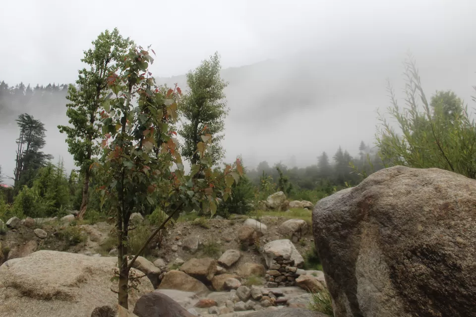 Photo of Kalpa, Himachal Pradesh, India by Sameer Wadhwani