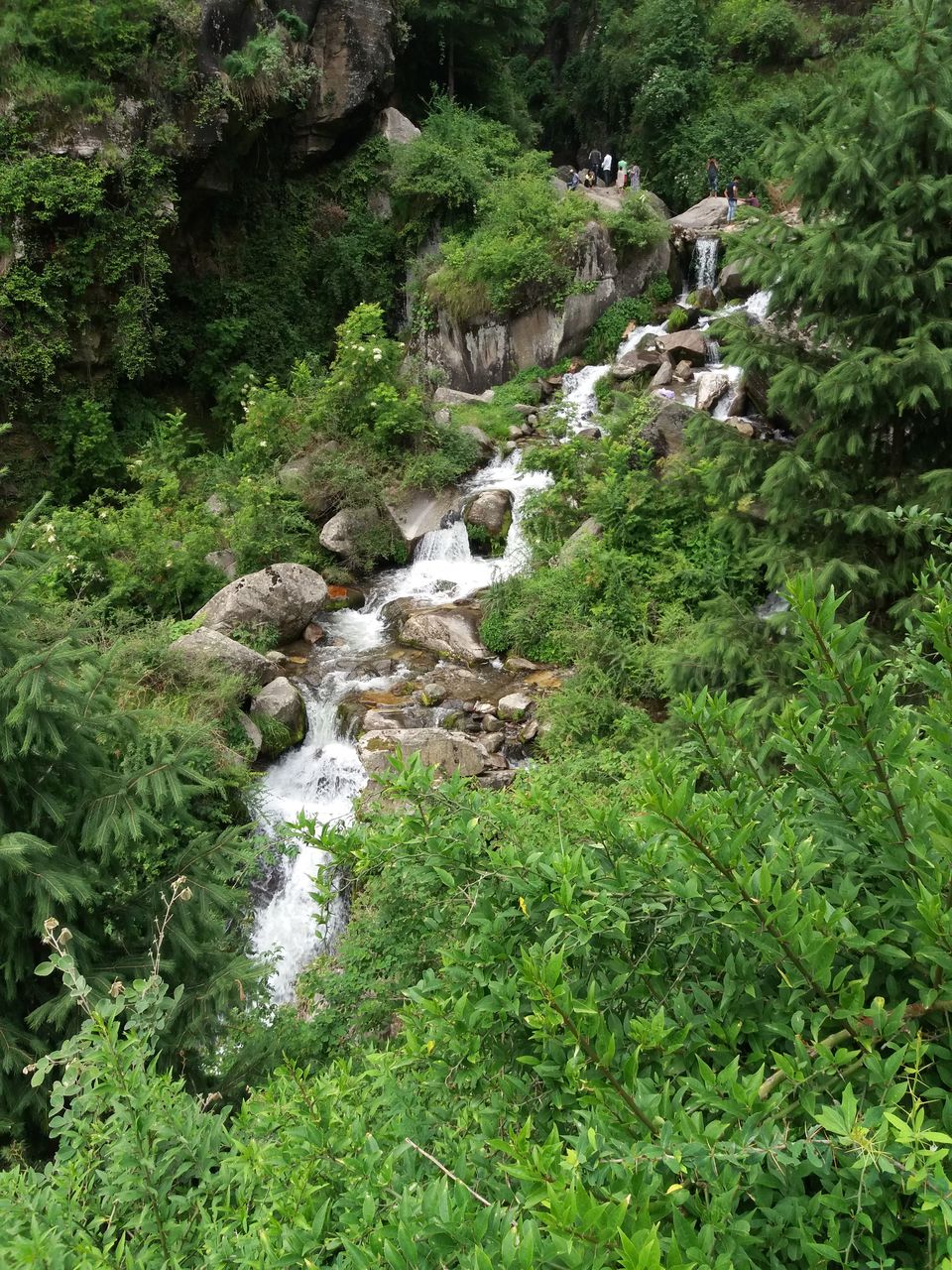 Photo of Pouring Heart out over misty Himachal by Sameer Wadhwani