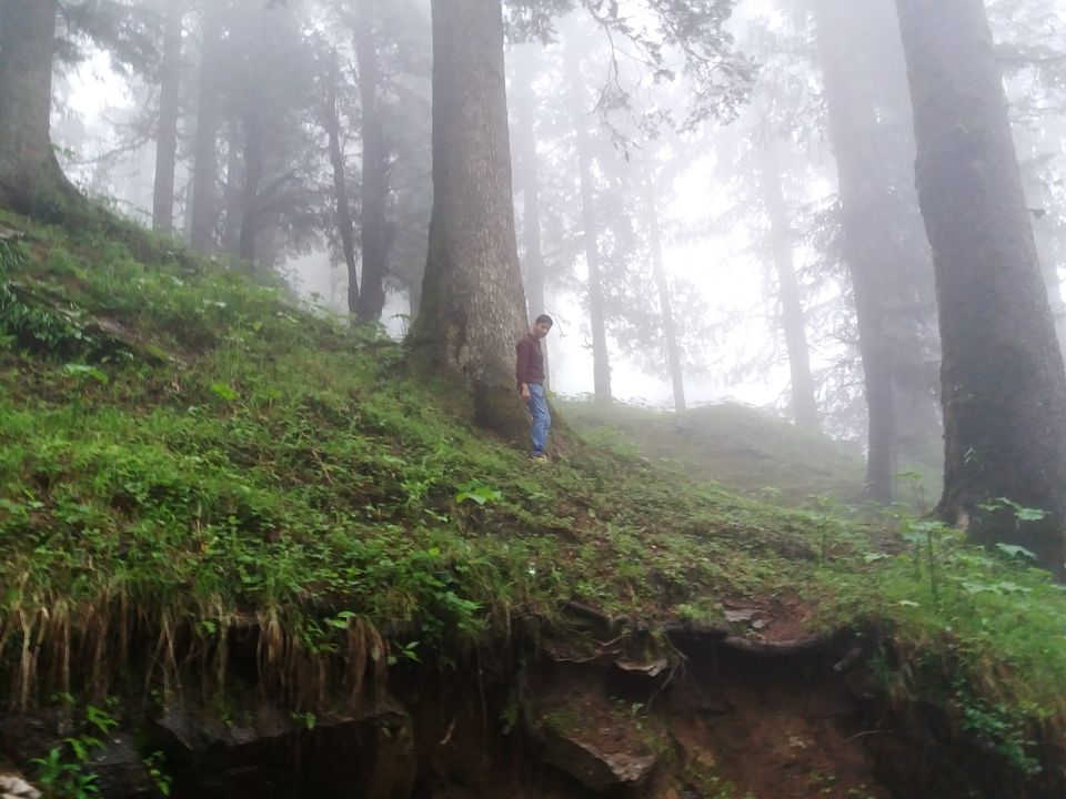 Photo of Pouring Heart out over misty Himachal by Sameer Wadhwani