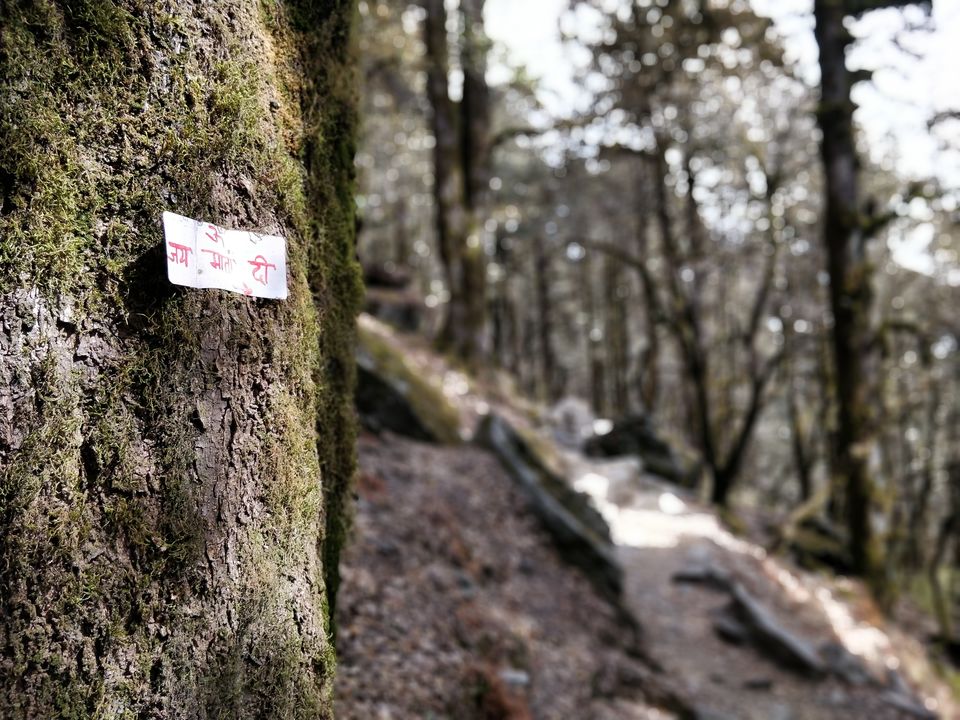 Photo of In pursuit of snow on Himachal's homecoming odyssey by Sameer Wadhwani