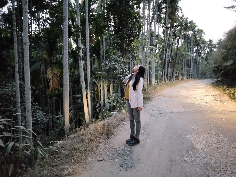 Photo of Meghalaya: All round nirvana for nature-addict by Sameer Wadhwani