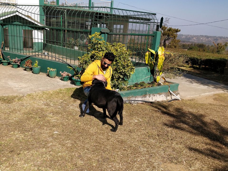 Photo of Meghalaya: All round nirvana for nature-addict by Sameer Wadhwani