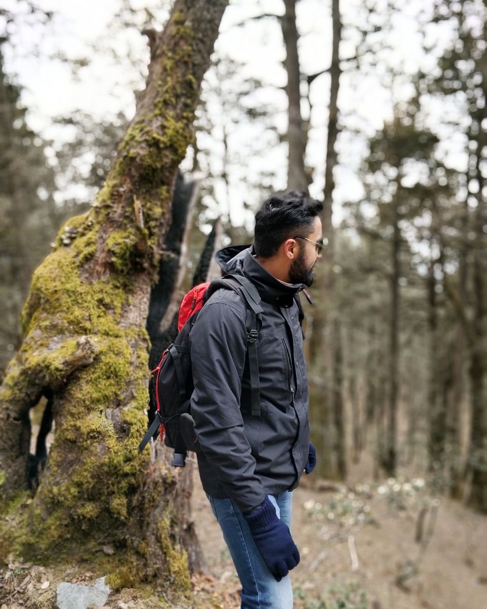 Photo of In pursuit of snow on Himachal's homecoming odyssey by Sameer Wadhwani