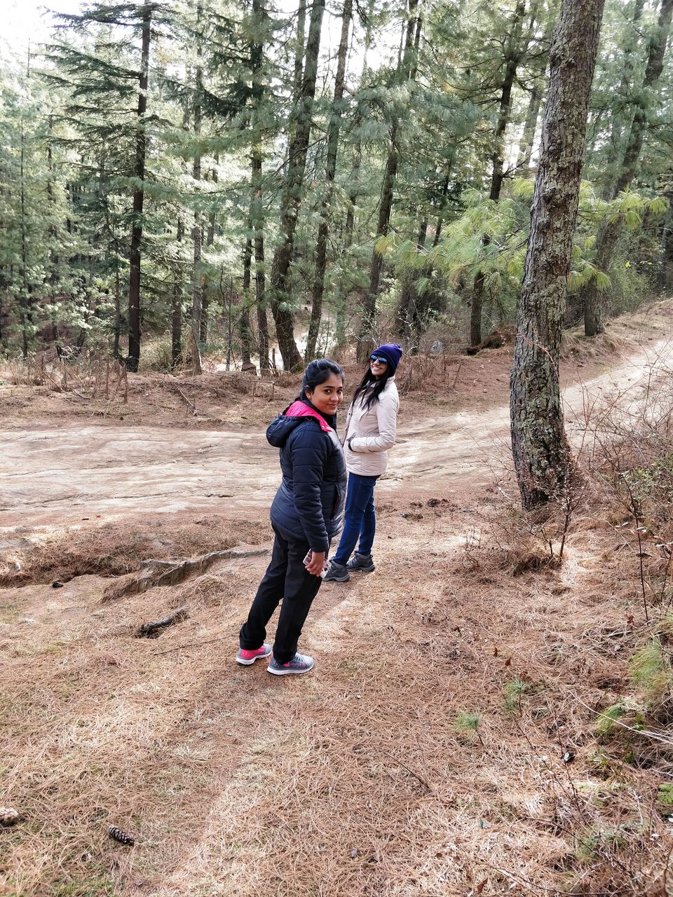Photo of In pursuit of snow on Himachal's homecoming odyssey by Sameer Wadhwani