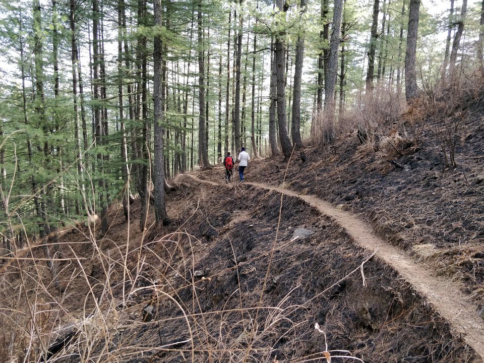 Photo of In pursuit of snow on Himachal's homecoming odyssey by Sameer Wadhwani
