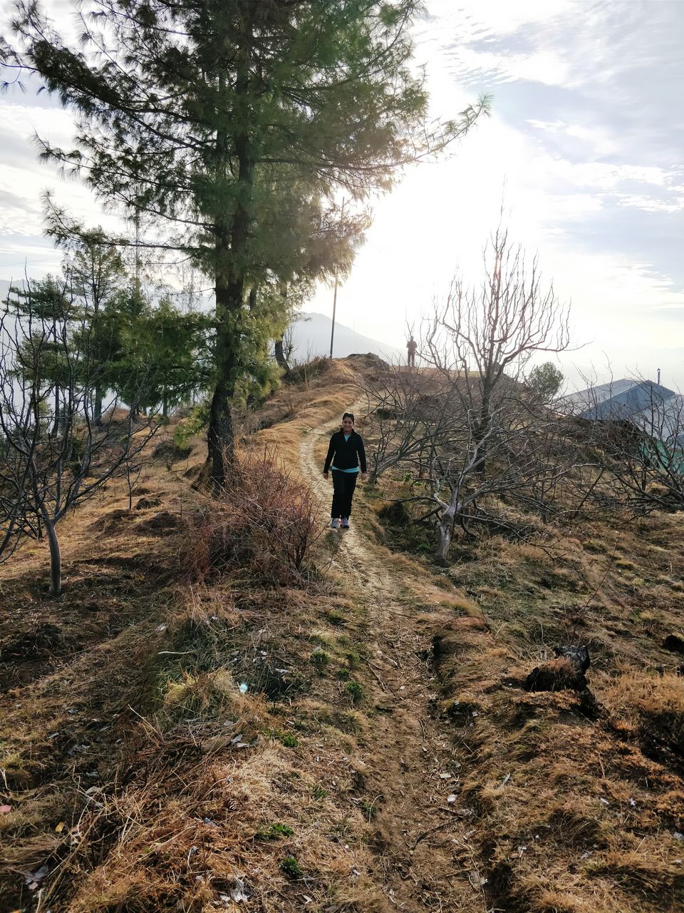 Photo of Shelapani, Himachal Pradesh, India by Sameer Wadhwani