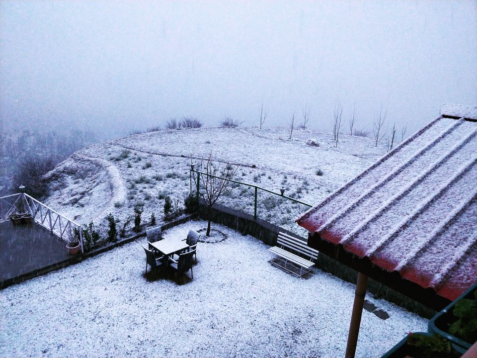 Photo of In pursuit of snow on Himachal's homecoming odyssey by Sameer Wadhwani