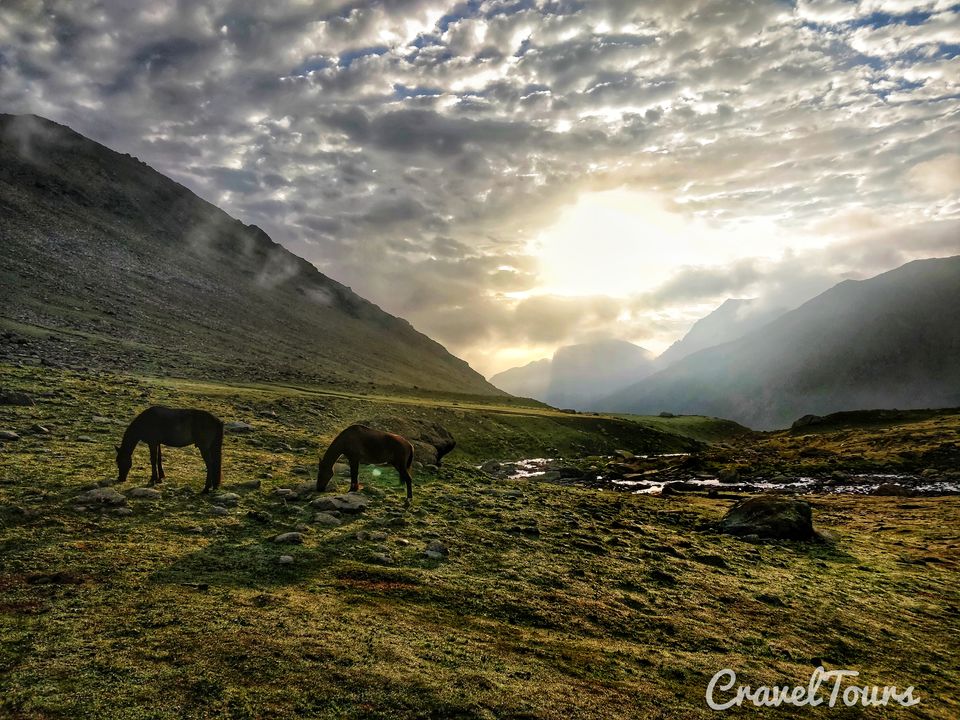 Photo of Wheels to Shoes: A road-tripper's transitional chronicle for trek to Tarsar-Marsar (Kashmir) by Sameer Wadhwani